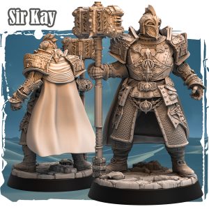 Sir Kay (Guerrier DnD)