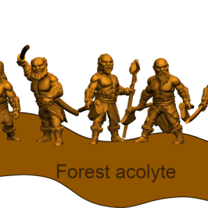 Acolyte de la Forêt du Cerf - Game of Thrones