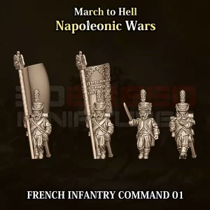 Commandement Infanterie 1 France