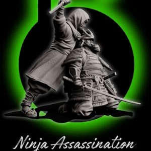 Samouraï Ninja Assassinats - Bushido