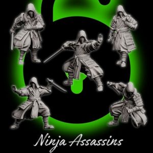 Samouraïs Ninja Assassins - Bushido